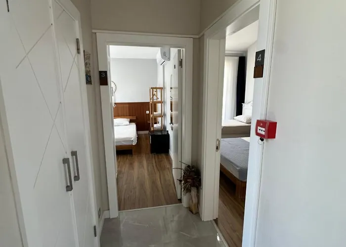 Kwatera prywatna Mila Focakoey